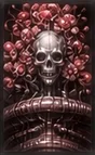 03-B Curtain