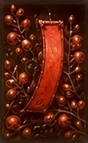 07-R Ribbon
